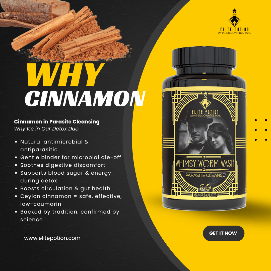 Why cinnamon is beneficial in a parasite cleanse... a graphic for Elite Potion