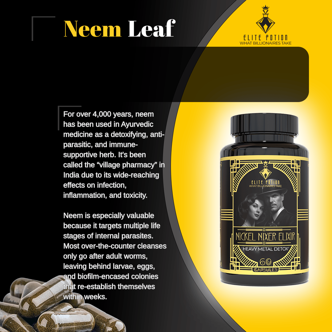 Neem Leaf