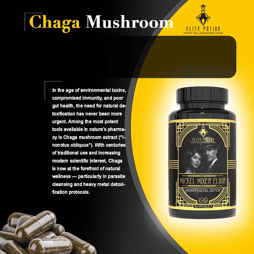 chaga_mushroom